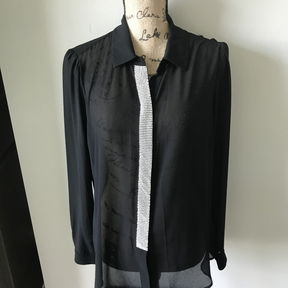 Sheer Blouse